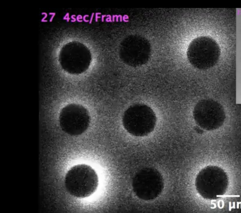 Ciencia comprueba que la vida comienza con el surgimiento de la luz