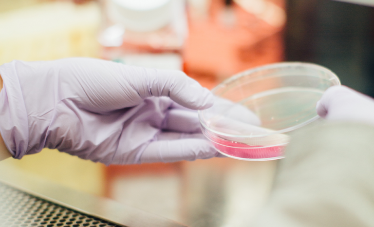 Los evangélicos franceses creen que la nueva ley de bioética pone a los más débiles en manos del mercado y la tecnología